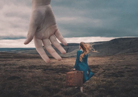 foto: A Helping Hand - Adam Bird